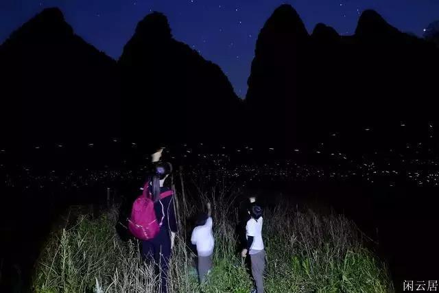 杀出重围人类分裂