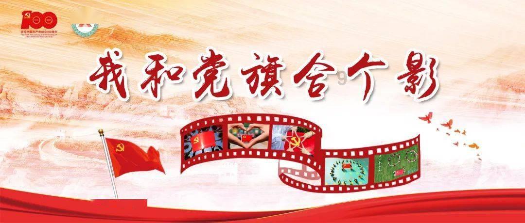 让动物飞一会