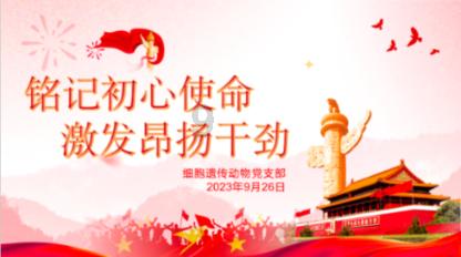 美丽皇后逃脱